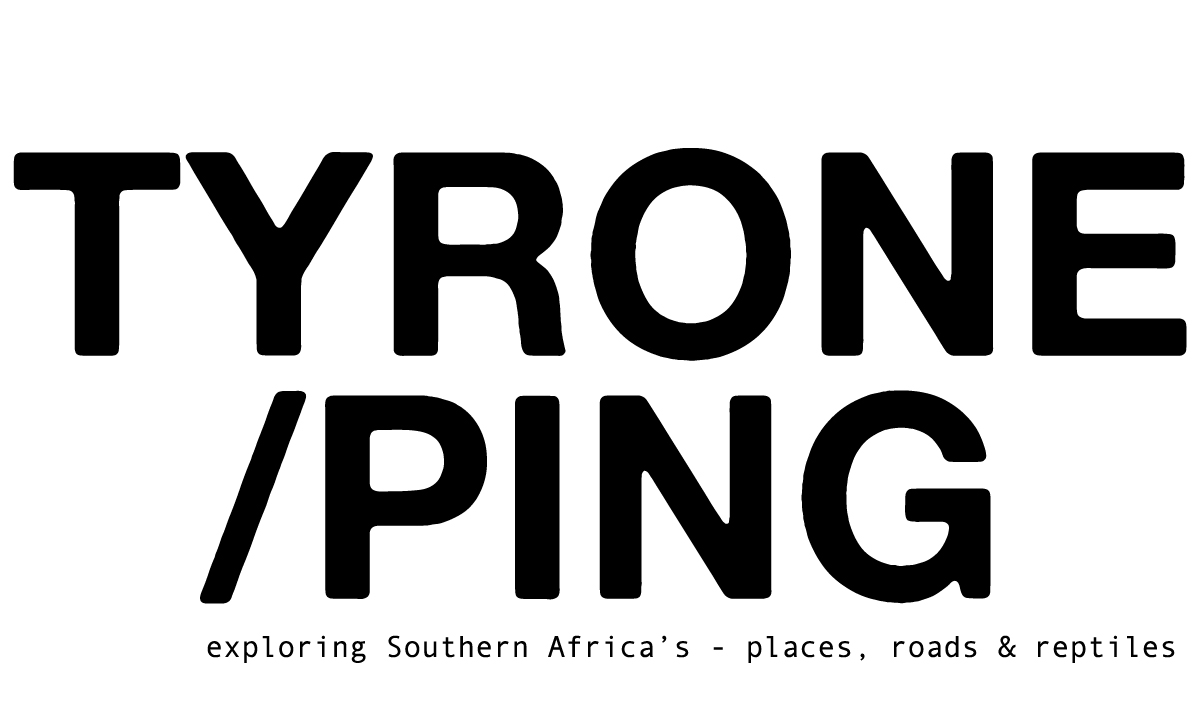 Tyrone Ping