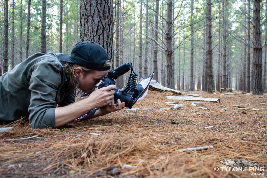 Photographing a Cape Rain Frog in the Western Cape.
