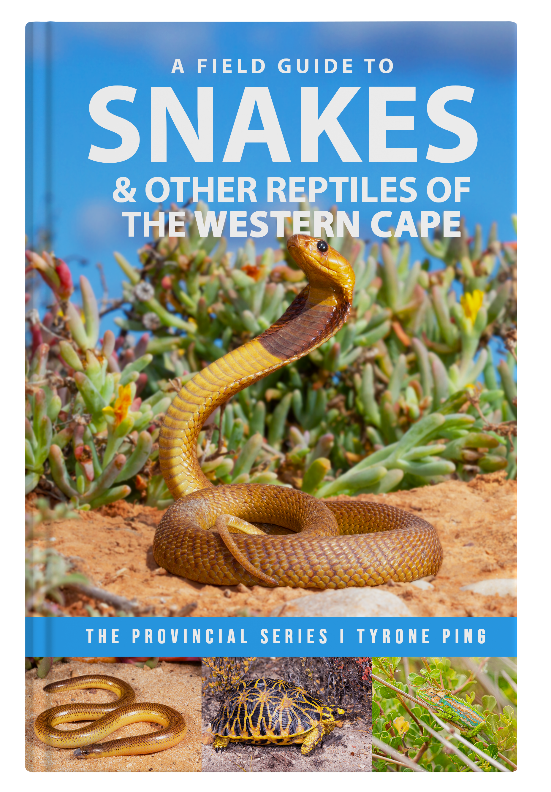 A FIELD GUIDE TO TEH SNAKES & OTHER REPTILES OF THE WESTERN CAPE _FINAL2023