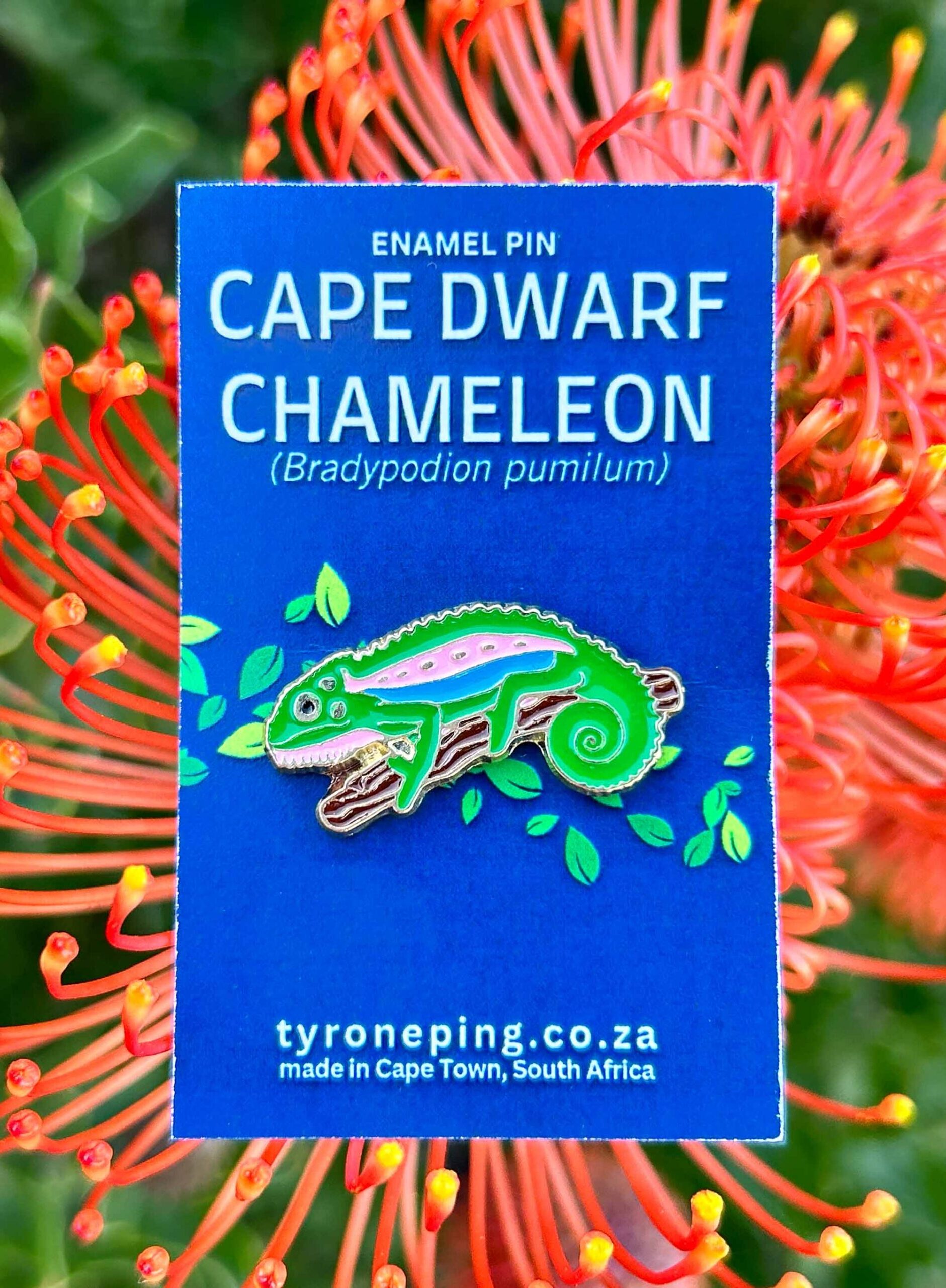 Chameleon Enamel Pin